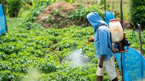  Arid Lands: A Guide for Sustainable Agriculture - Cultivating Hope in the Face of Desert