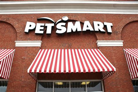 How much is PetSmart dog training: A Comprehensive Guide to Costs and Benefits