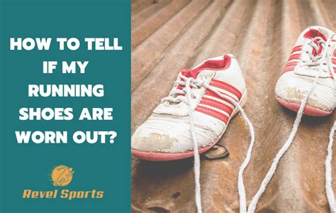 How to Tell If Running Shoes Are Worn Out: And Why Your Cat Might Be the Best Judge