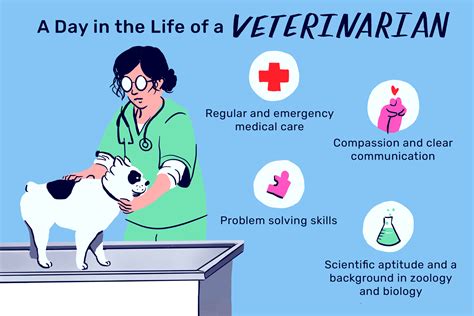 What education do you need to be a veterinarian, and why do cats always land on their feet?