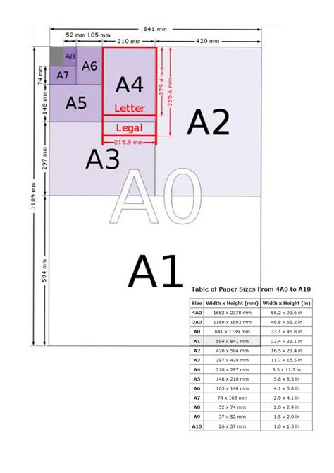 What's Normal Printer Paper Size and Why Does It Feel Like a Secret Society?