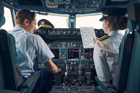 Which Kind of Software Might Be Used To Train Airline Pilots?